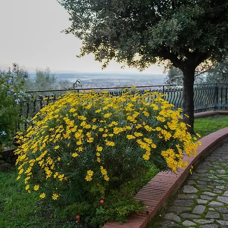 Casa Natalina